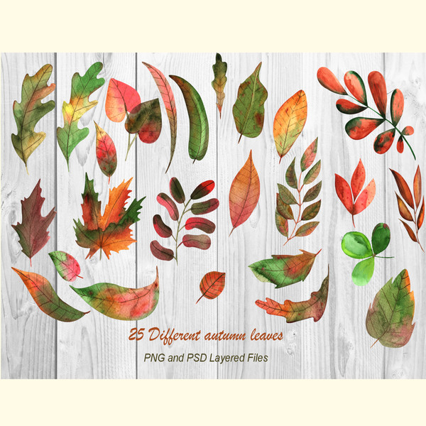 Watercolor Autumn Leaves_ 0.jpg