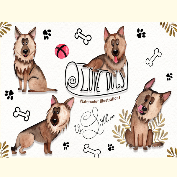 Watercolor Dog Illustrations.jpg