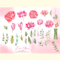 Watercolor Pink Flowers Collection_ 3.jpg
