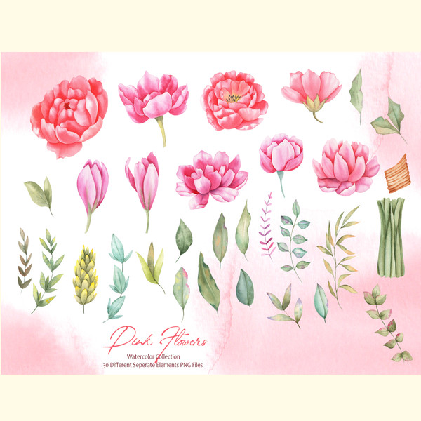 Watercolor Pink Flowers Collection_ 3.jpg