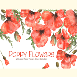watercolor poppy flowers collection