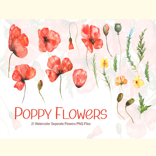 Watercolor Poppy Flowers Collection_ 0.jpg