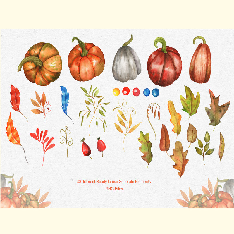 Watercolor Pumpkins Collection_ 5.jpg