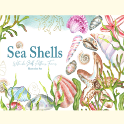 Watercolor Sea Shells Illustration Set