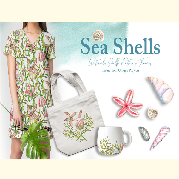 Watercolor Sea Shells Illustration Set_ 0.jpg