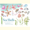 Watercolor Sea Shells Illustration Set_ 1.jpg
