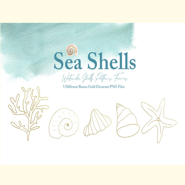 Watercolor Sea Shells Illustration Set_ 2.jpg