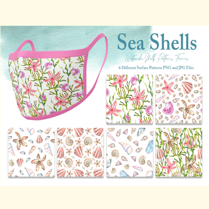 Watercolor Sea Shells Illustration Set_ 3.jpg
