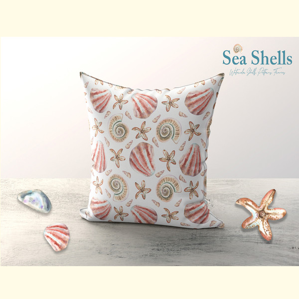 Watercolor Sea Shells Illustration Set_ 4.jpg