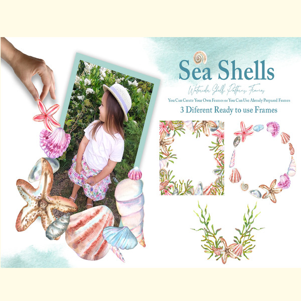 Watercolor Sea Shells Illustration Set_ 5.jpg