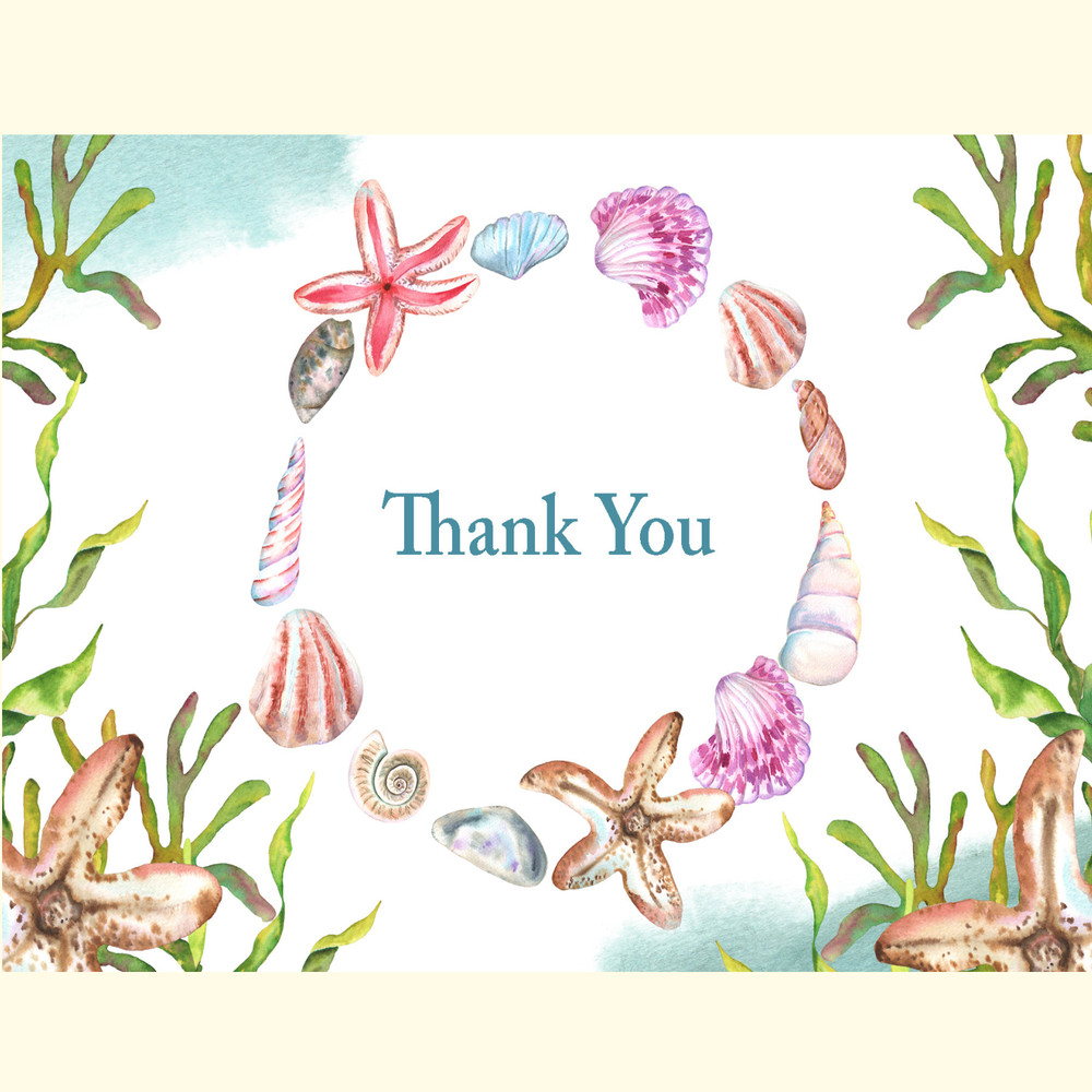 Watercolor Sea Shells Illustration Set_ 8.jpg