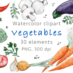 Vegetables Watercolor clipart, PNG