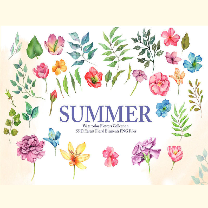 Watercolor Summer Flowers Collection_ 10.jpg