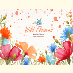Watercolor Wild Flowers