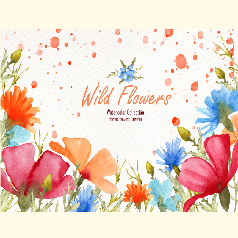 Watercolor Wild Flowers.jpg