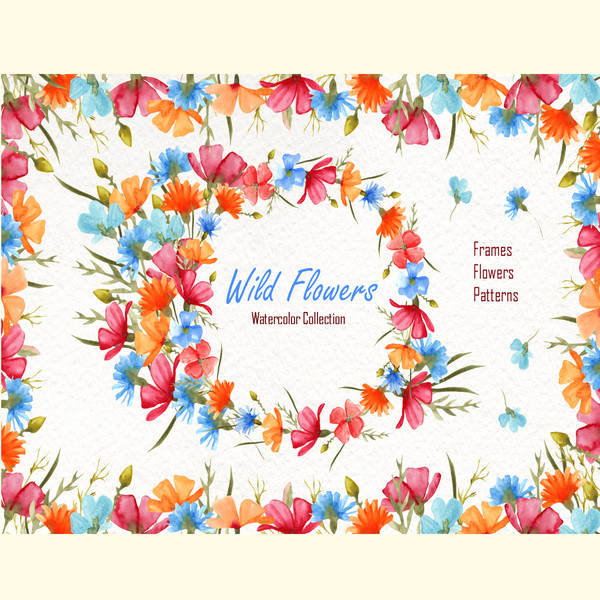 Watercolor Wild Flowers_ 0.jpg