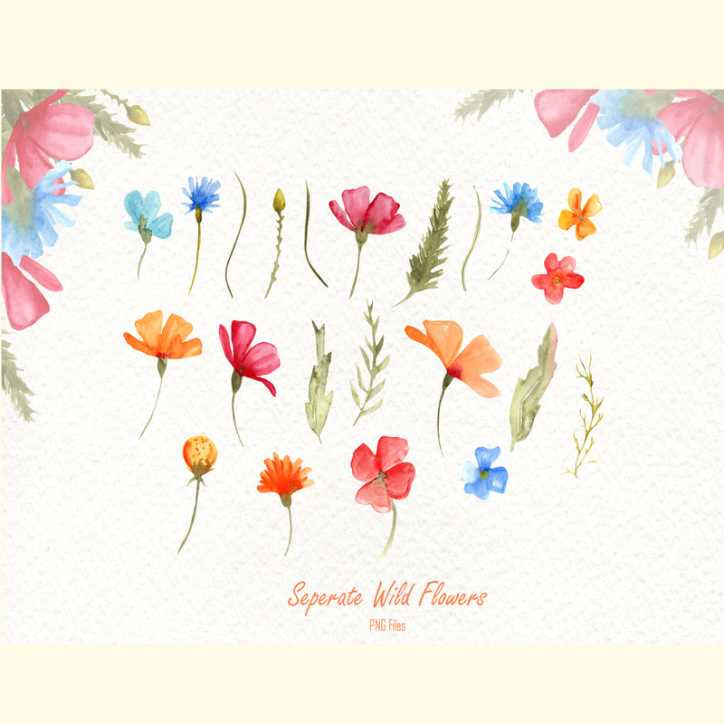 Watercolor Wild Flowers_ 5.jpg