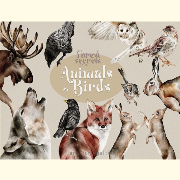 Autumn Forest Animals & Birds PNG.jpg