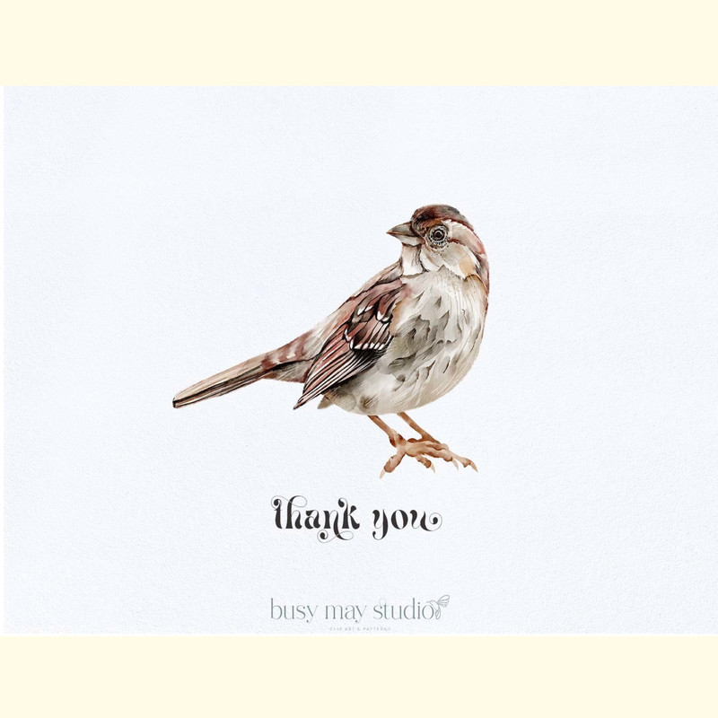 Autumn Forest Animals & Birds PNG_ 4.jpg