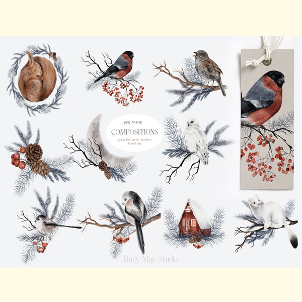 Christmas Card Creator Snow Birds PNG_ 0.jpg