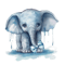 14.png