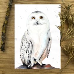 White owl bird original painting the white - faced owl watercolor birds art by Anne Gorywine