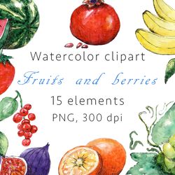 fruits and berries watercolor clipart, png