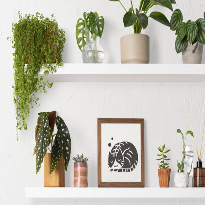 1080x1080 size JAPAN-Style-SVG-Bundle-45-Designs-Cut-Graphics-16990337-6-580x387.jpg