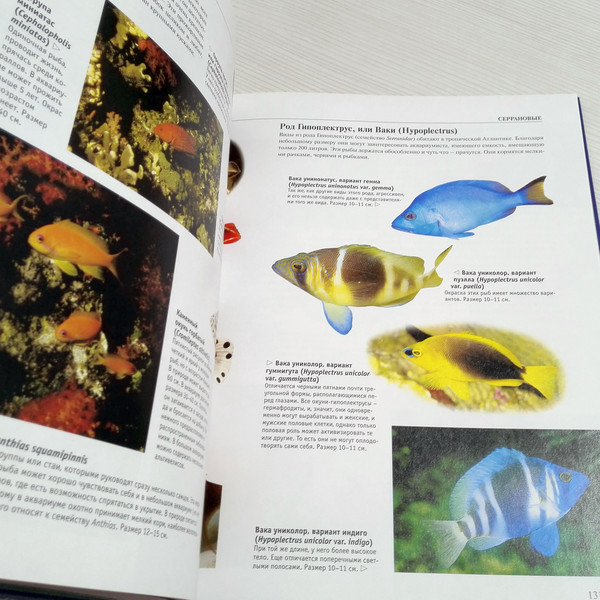 album-encyclopedia-aquarium.jpg