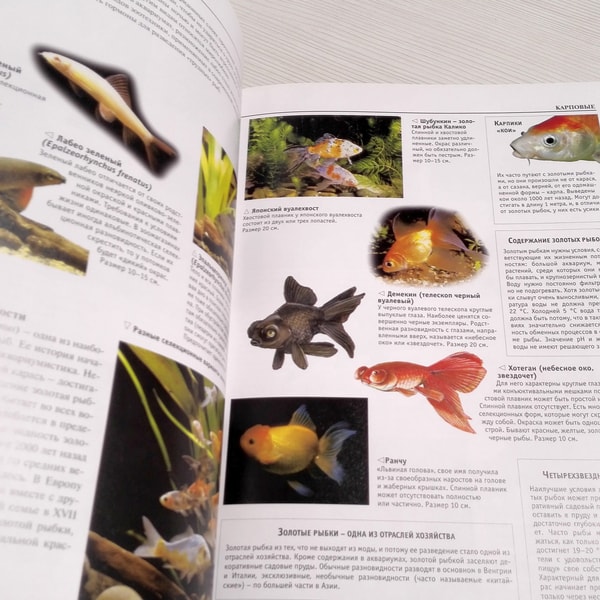 Fish Types Book Encyclopedia Aquarium 700 Species Fish Plants Equipment - Inspire Uplift