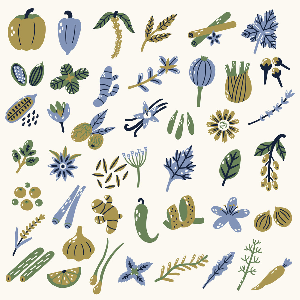 Collection hand drawn illustrated spices herbs.jpg