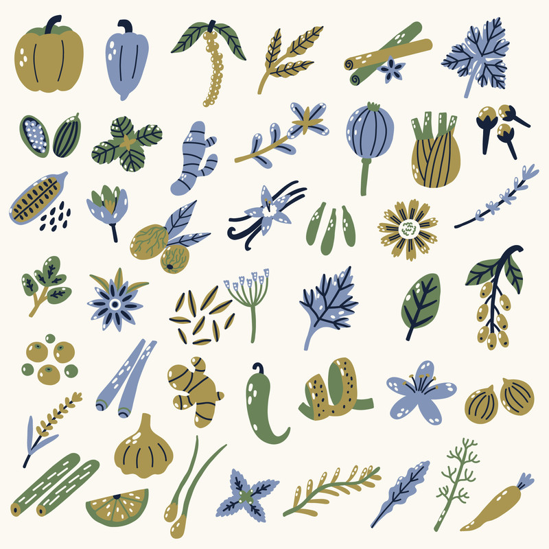 Collection hand drawn illustrated spices herbs.jpg