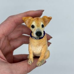 For Bobbie. Miniature dog. The dog is a crocheted souvenir. Individual order. Miniature dog as a gift