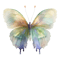ap301805_digital_background_butterfly_light_yellow_orange_green_90aa8607-2175-4b10-97ca-ad854a46b99b-PhotoRoom.png-PhotoRoom_auto_x2.png