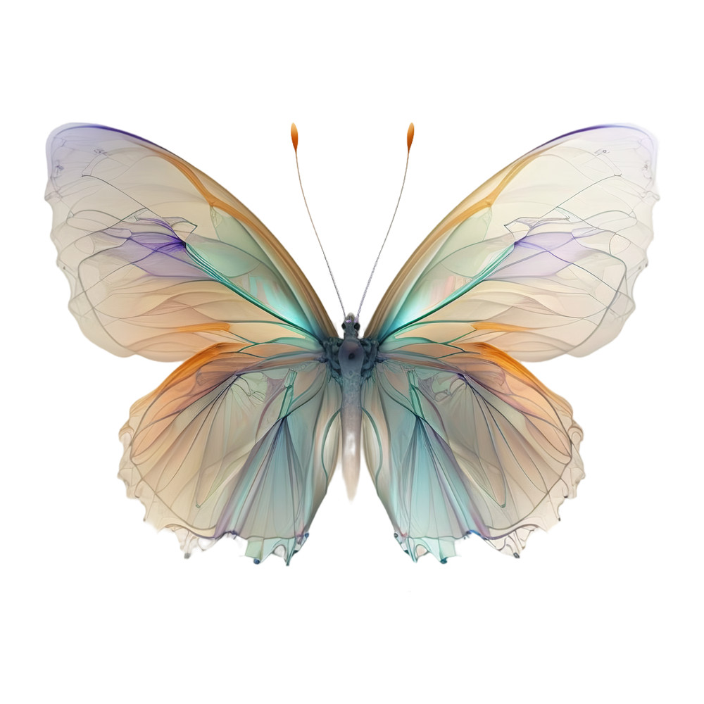 ap301805_digital_background_butterfly_light_yellow_orange_green_899d453d-a92a-4d1b-9c6b-d2bbf9b7bac4-PhotoRoom.png-PhotoRoom_auto_x2.png