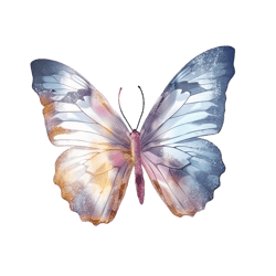 Butterfly Png Sublimation no 5,Butterfly Image