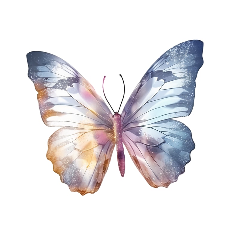 butterfly1.png