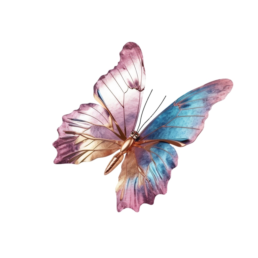 butterfly2.png