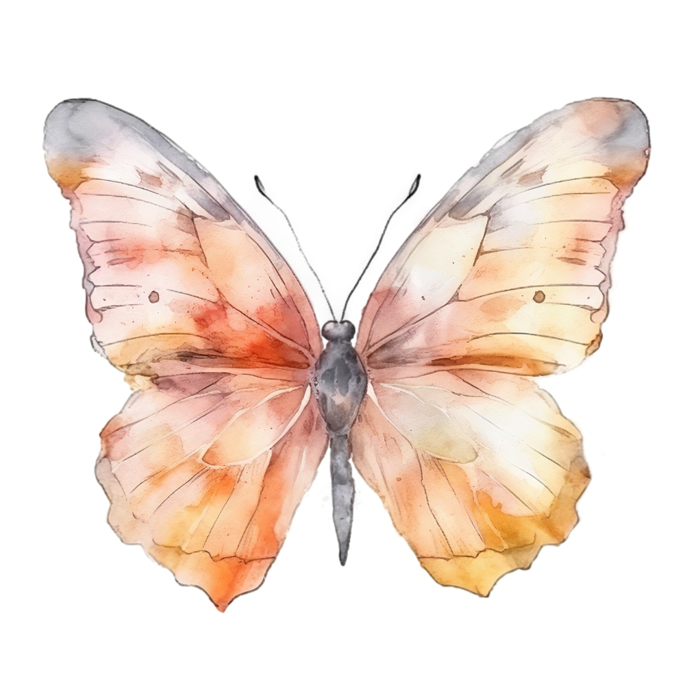 butterfly3.png