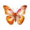 butterfly4.png