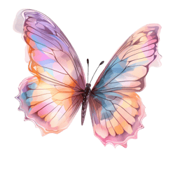 Butterfly Png Sublimation no 10,Butterfly Image