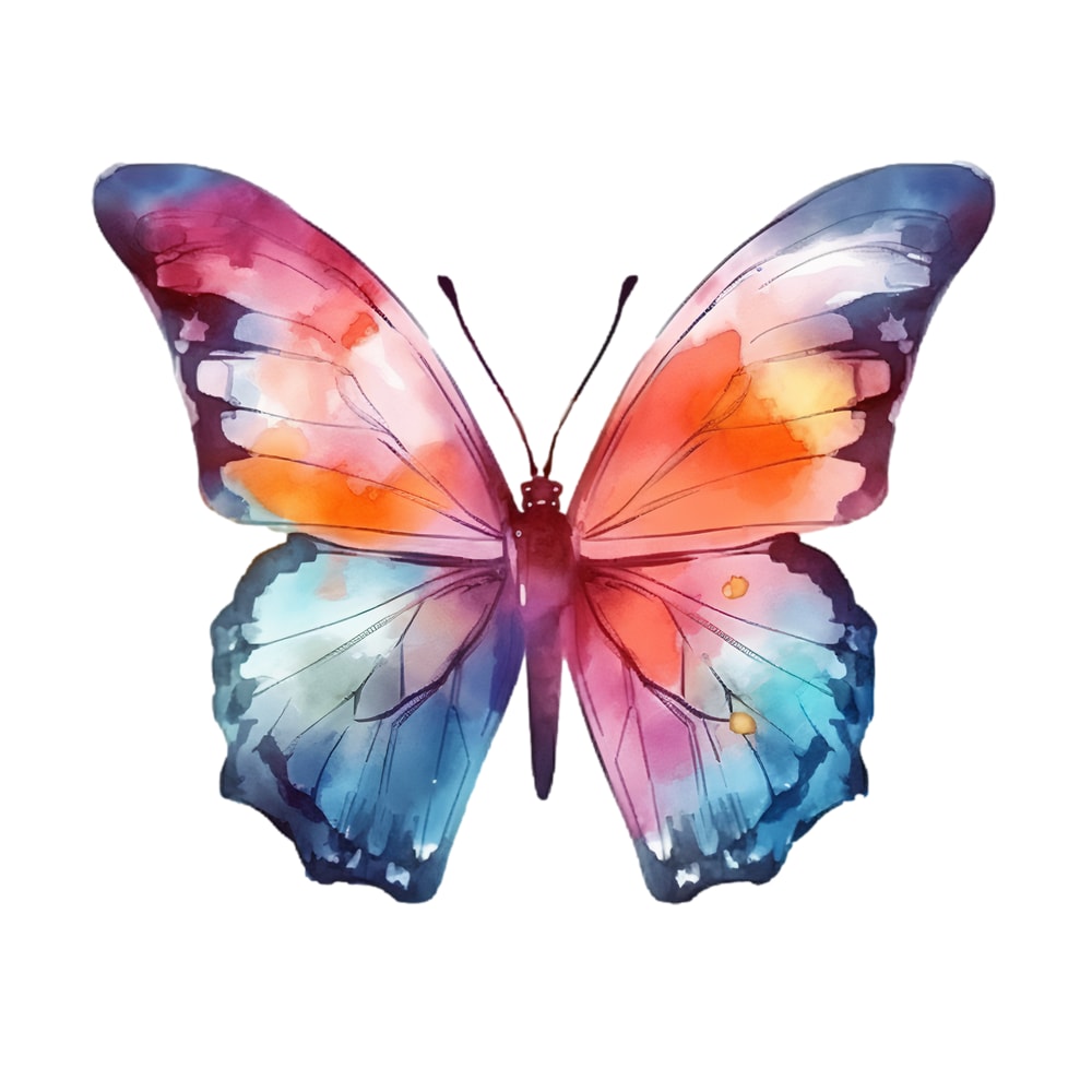 butterfly9.png