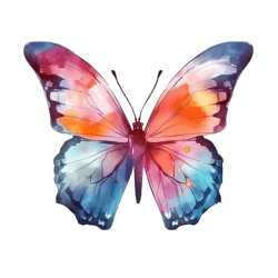 Butterfly Png Sublimation no 13,Butterfly Image