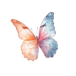 Butterfly Png Sublimation no 14,Butterfly Image