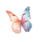 butterfly10.png