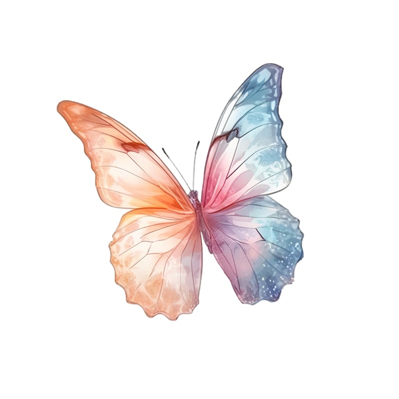 butterfly10.png