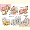 Animal Mom and Baby Mother Day Clipart_ 0.jpg