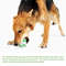 Teeth Molars Cleaning Dog Chewers Ball Toy (6).jpg