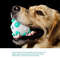 Teeth Molars Cleaning Dog Chewers Ball Toy (8).jpg
