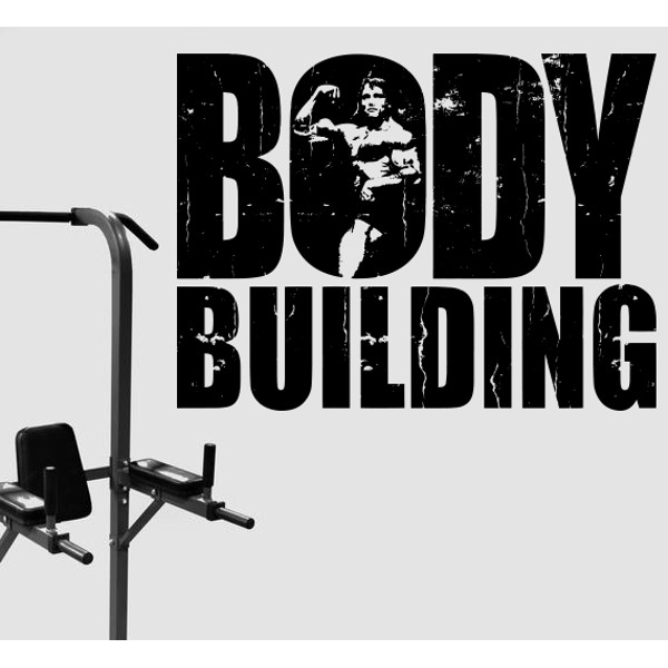 body building gym, fitness, coach, sport, muscles, crossfit, workout, arnold schwarzenegger